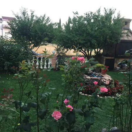 Pensjonat House Of Flowers *