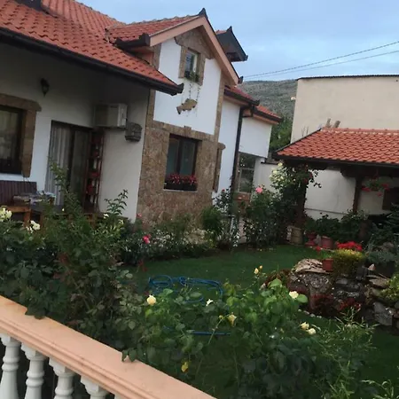 Pensjonat House Of Flowers